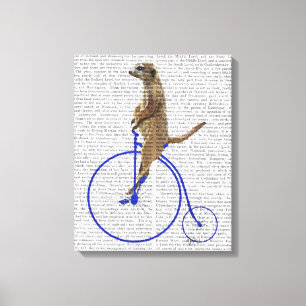 Meerkat på Blue Penny Farthing Canvastryck