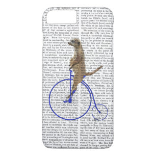 Meerkat på Blue Penny Farthing