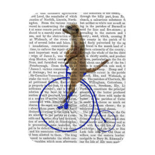 Meerkat på Blue Penny Farthing Magnet