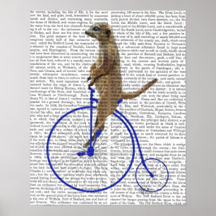 Meerkat på Blue Penny Farthing Poster