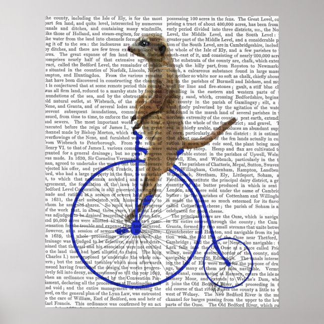 Meerkat på Blue Penny Farthing Poster (Framsidan)