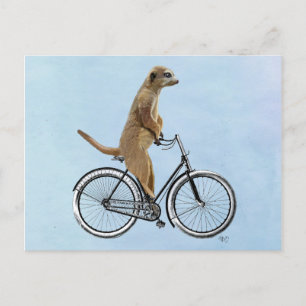 Meerkat på cykel 2 vykort