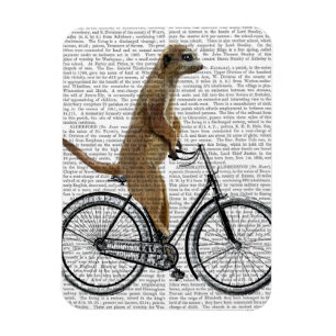 Meerkat på cykel magnet