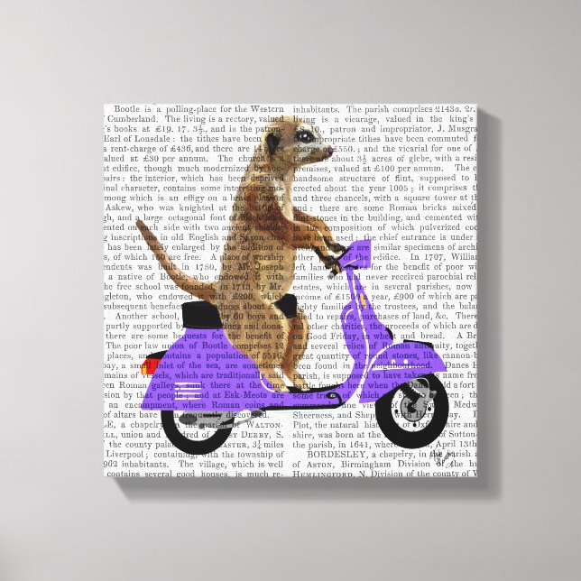 Meerkat på Lilac Moped Canvastryck (Framsida)