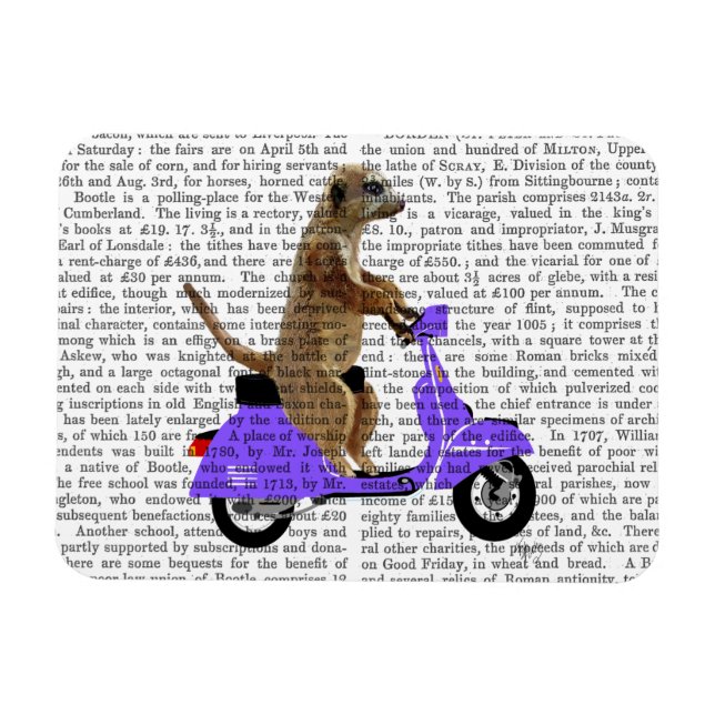 Meerkat på Lilac Moped Magnet (Horisontell)