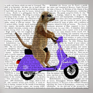 Meerkat på Lilac Moped Poster