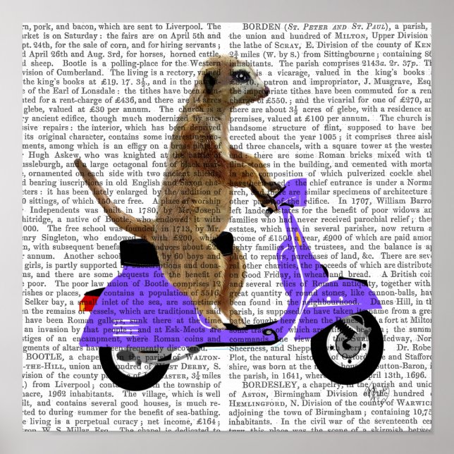 Meerkat på Lilac Moped Poster (Framsidan)