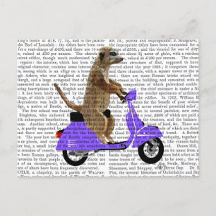 Meerkat på Lilac Moped Vykort