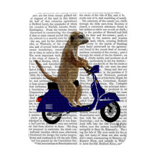 Meerkat på Mörk blått moped Magnet