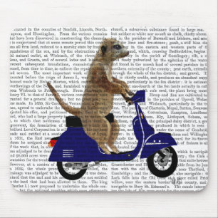 Meerkat på Mörk blått moped Musmatta