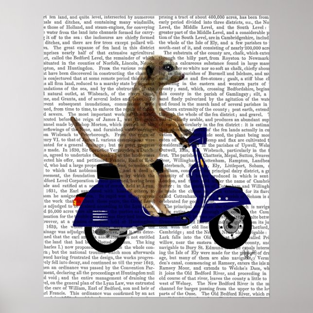 Meerkat på Mörk blått Moped Poster (Framsidan)