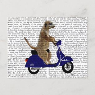 Meerkat på Mörk blått Moped Vykort