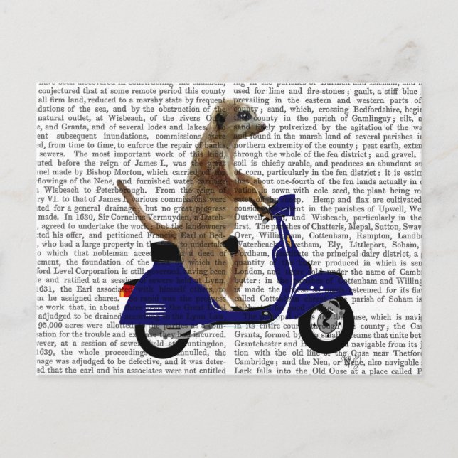 Meerkat på Mörk blått Moped Vykort (Framsida)
