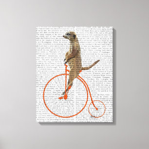 Meerkat på Orange Penny Farthing Canvastryck
