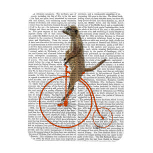 Meerkat på Orange Penny Farthing Magnet