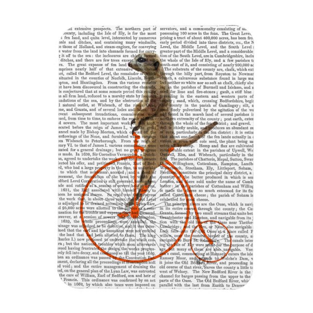 Meerkat på Orange Penny Farthing Magnet (Vertikal)