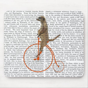 Meerkat på Orange Penny Farthing Musmatta