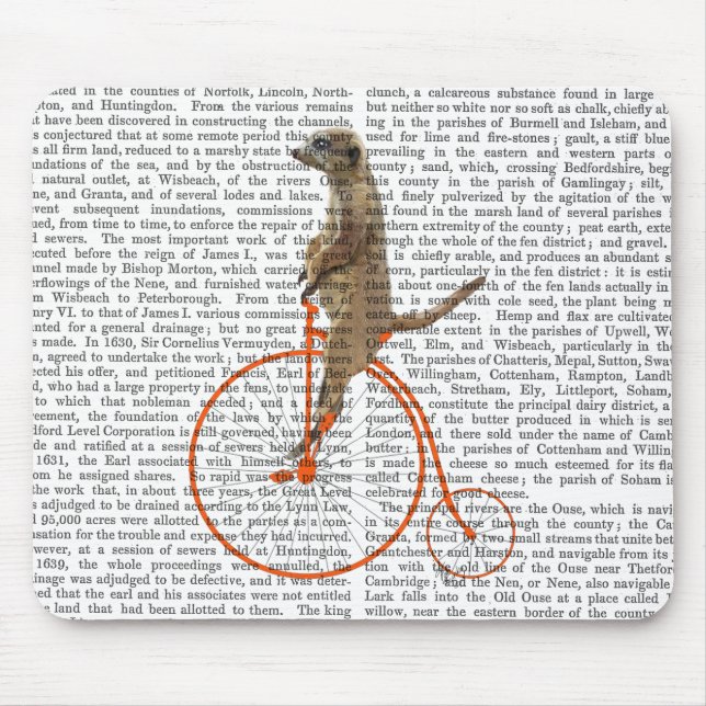 Meerkat på Orange Penny Farthing Musmatta (Framsidan)