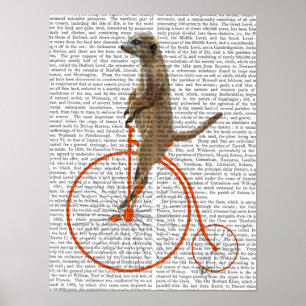 Meerkat på Orange Penny Farthing Poster