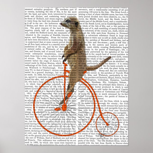 Meerkat på Orange Penny Farthing Poster (Framsidan)