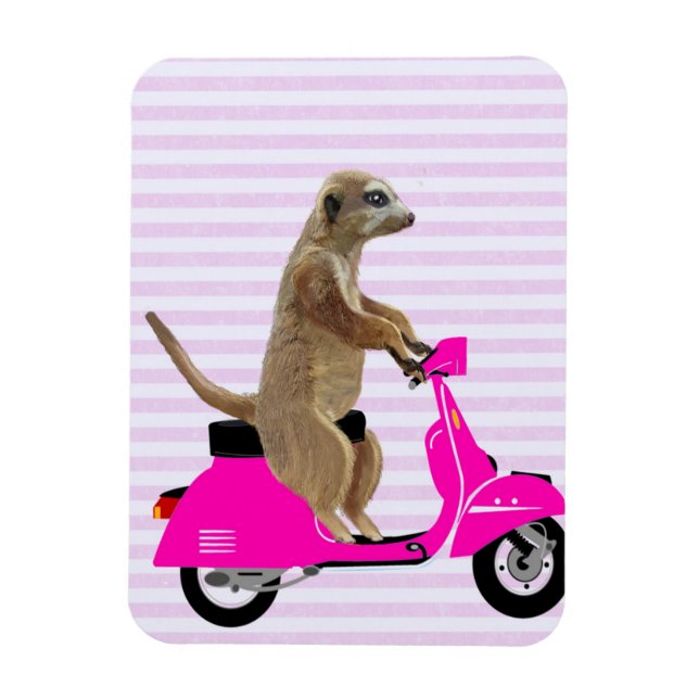 Meerkat på Rosa Moped 2 Magnet (Vertikal)