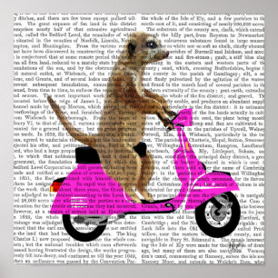 Meerkat på Rosa Moped Poster