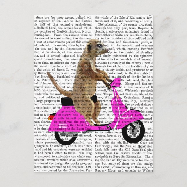Meerkat på Rosa Moped Vykort (Framsida)