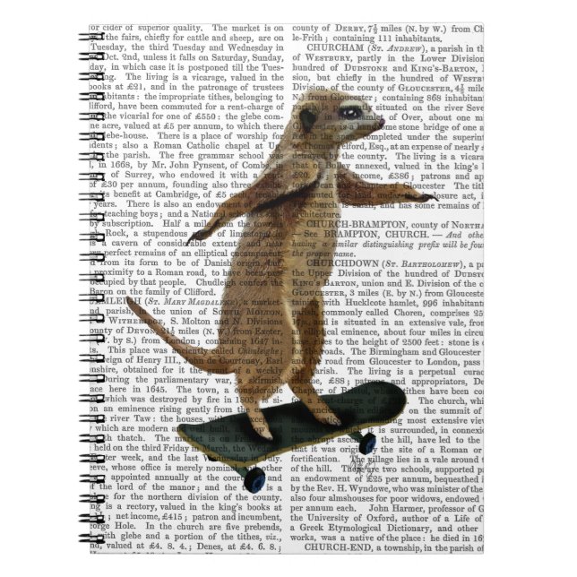Meerkat på Skateboard 2 Anteckningsbok Med Spiral (Framsidan)