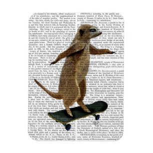 Meerkat på Skateboard 2 Magnet