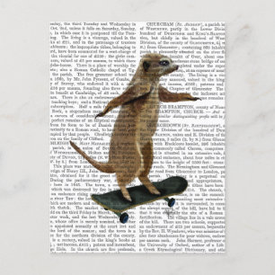 Meerkat på Skateboard 2 Vykort