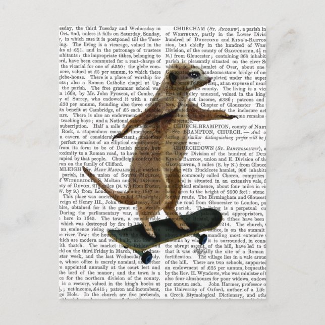 Meerkat på Skateboard 2 Vykort (Framsida)