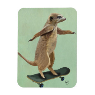 Meerkat på Skateboard 3 Magnet