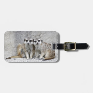 Meerkat-pair Bagagebricka