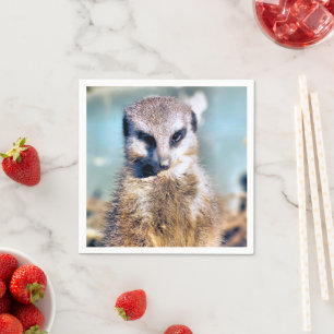 MEERKAT PAPPERSSERVETT