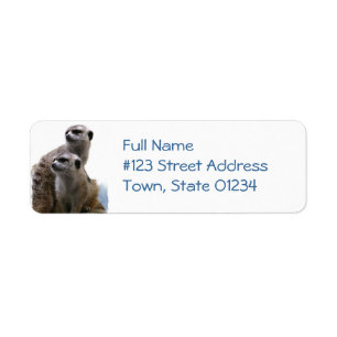 Meerkat parar returadressetiketten returadress etikett