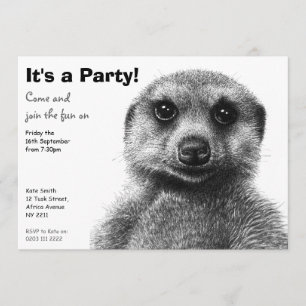 Meerkat partyinbjudan inbjudningar