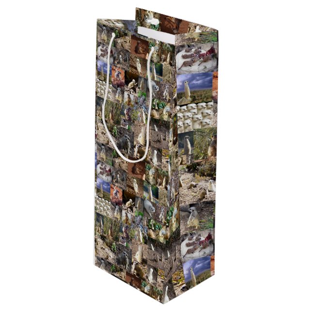 Meerkat Photo Collage (Framsidan Vinklad)