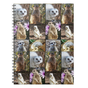 Meerkat Photo Collage Anteckningsbok