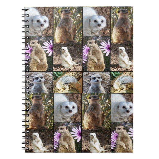 Meerkat Photo Collage Anteckningsbok (Framsidan)