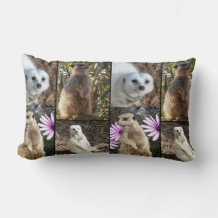 Meerkat Photo Collage, Lumbar Cushion. Lumbarkudde
