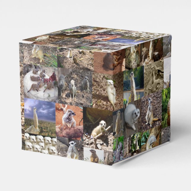 Meerkat Photo Collage Presentaskar (Framsidan Sidan)