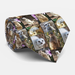 Meerkat Photo Collage Slips