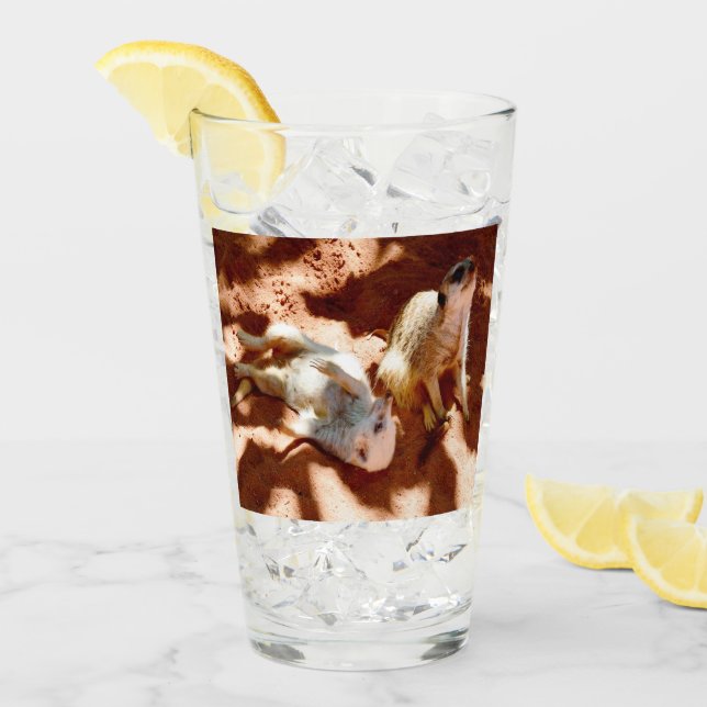 Meerkat Play Day Glaskopp (Framsida Ice)