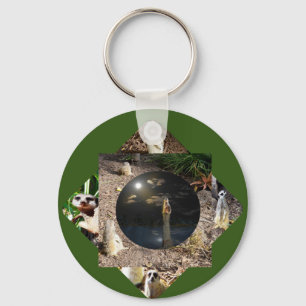 Meerkat Polyscope, Nyckelring