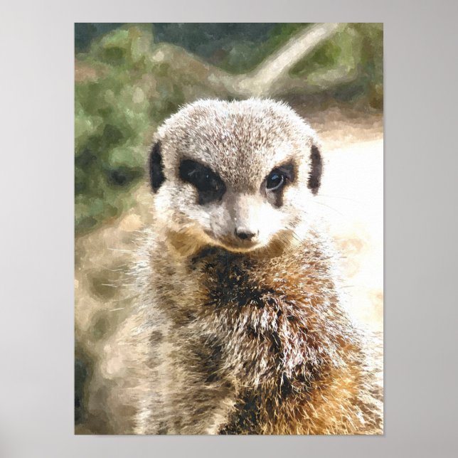 MEERKAT POSTER (Framsidan)
