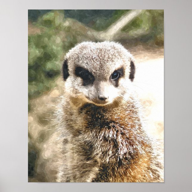MEERKAT POSTER (Framsidan)