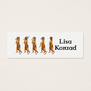 Meerkat profilerar kortet litet visitkort