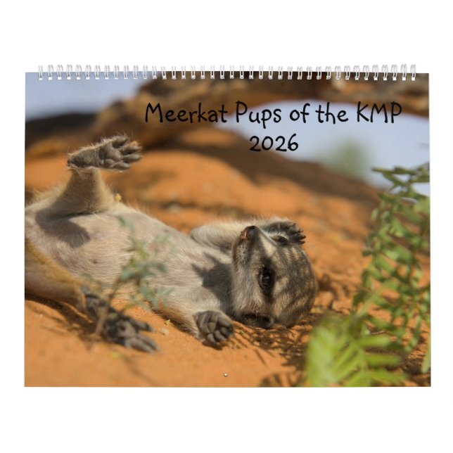 Meerkat Pups of the KMP 2026 Calendar Kalender (Omslag)