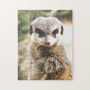 MEERKAT PUSSEL