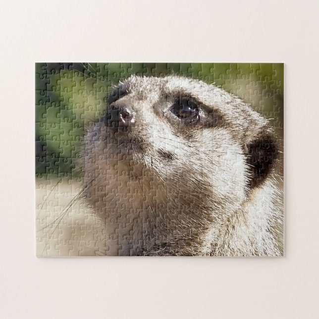 MEERKAT PUSSEL (Horisontell)